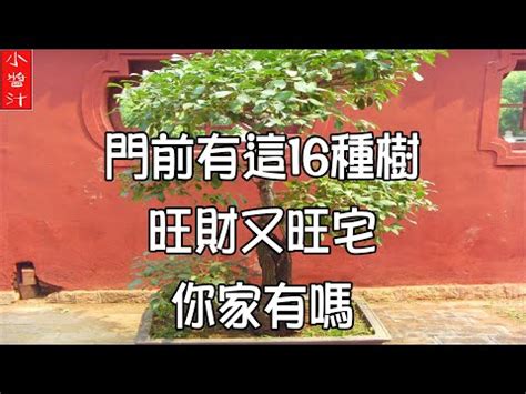 福木風水|【福木樹風水】福木樹風水的秘密：為家居招來好運、。